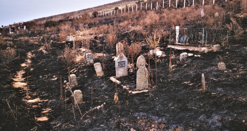 Death & Destruction