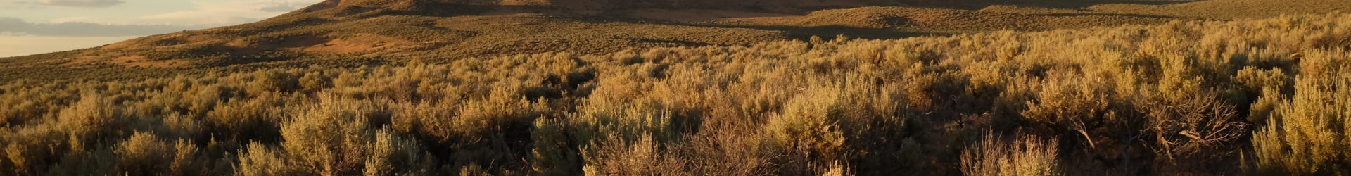 Central & Eastern Oregon